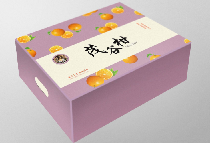 廣州水果包裝盒定做.png